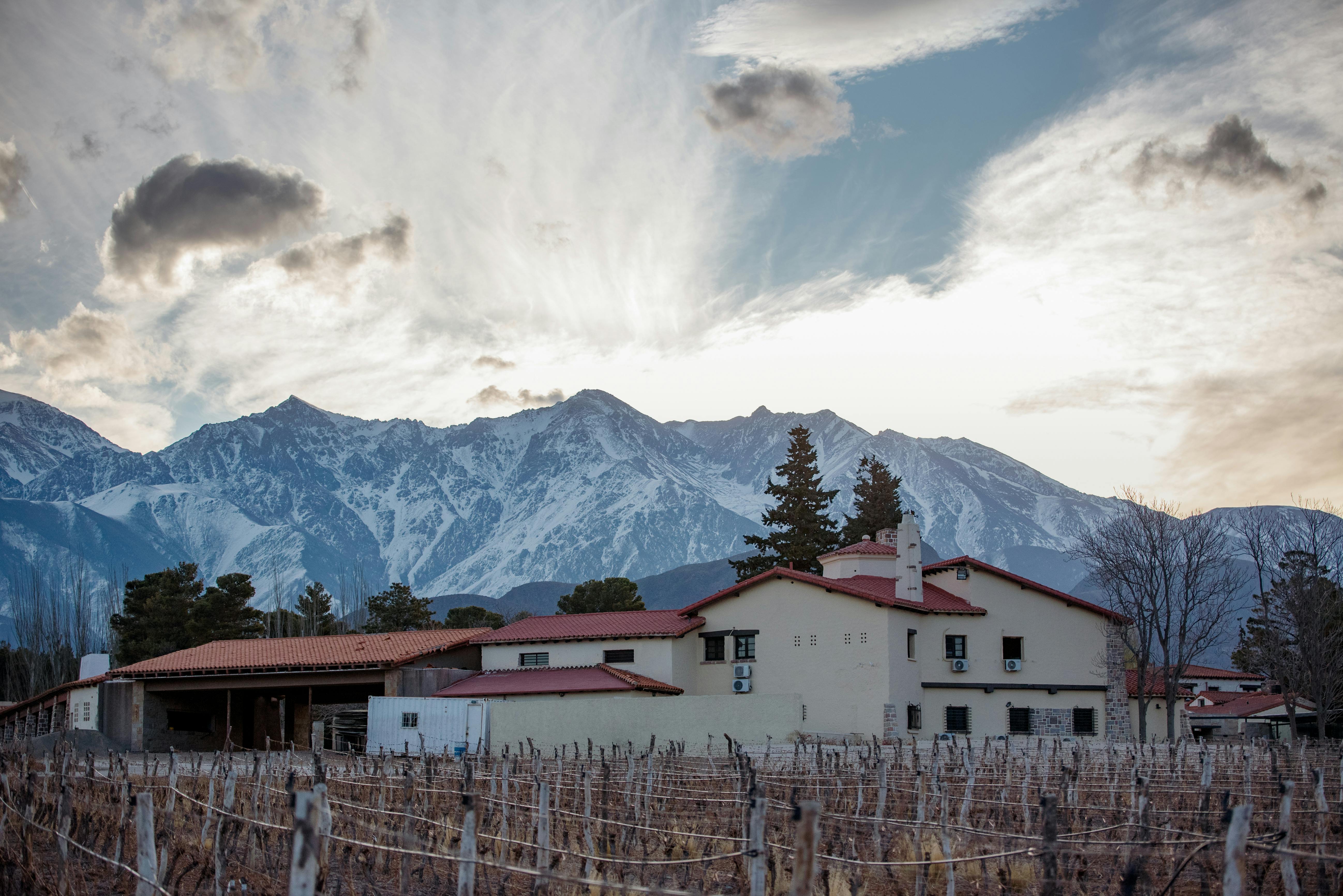The 5 best wineries in Luján de Cuyo to visit