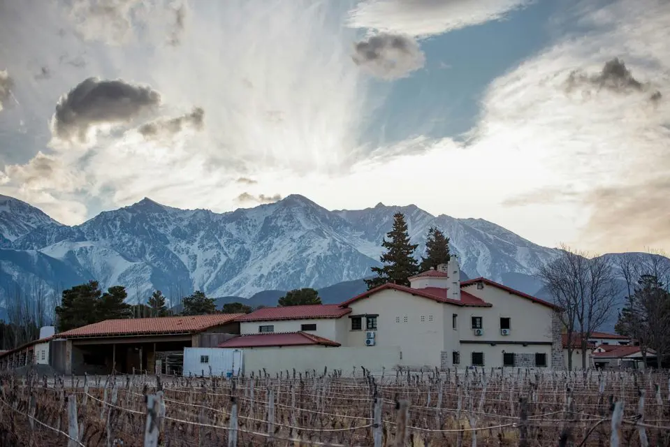 The 5 best wineries in Luján de Cuyo to visit