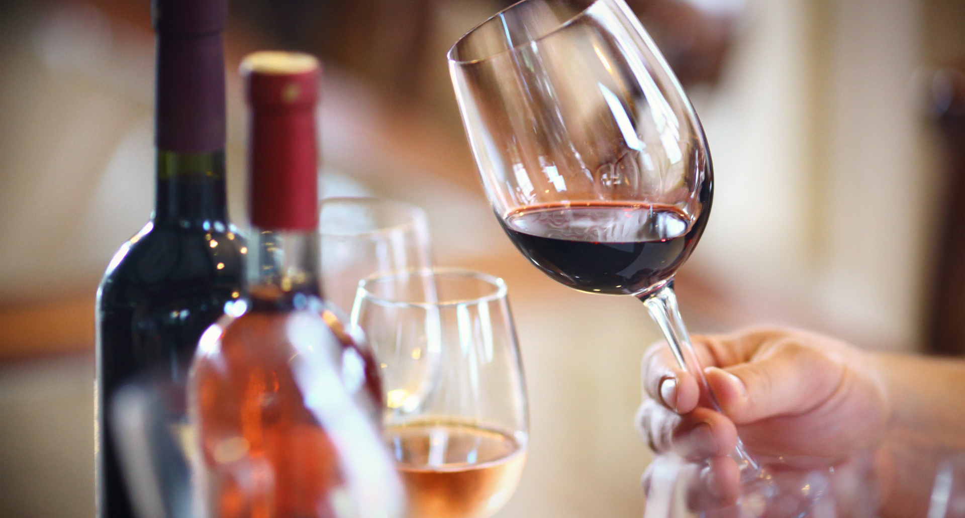 Wine Tasting & Winery Tours in Mendoza