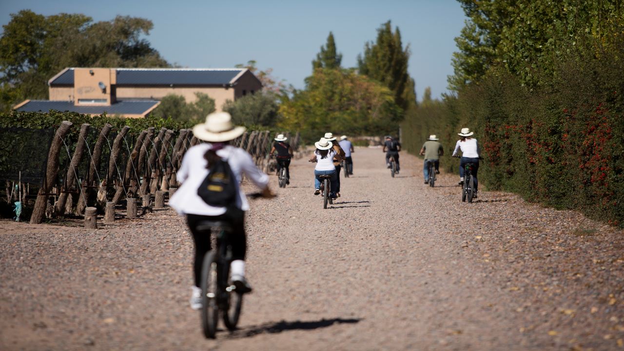 Wineries In Mountain Bike (3)