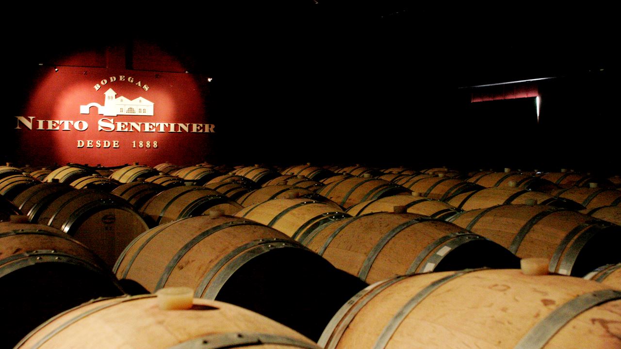 Wineries In Mountain Bike (4)