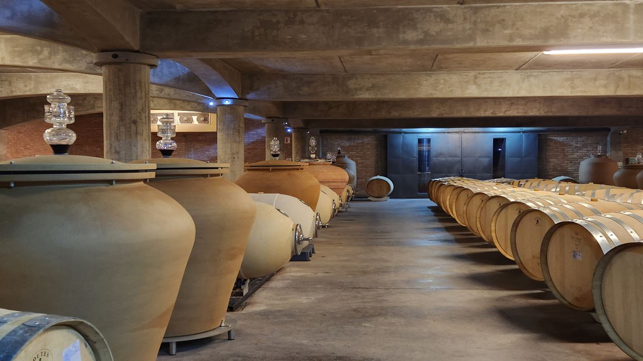 Wine Bus (3)