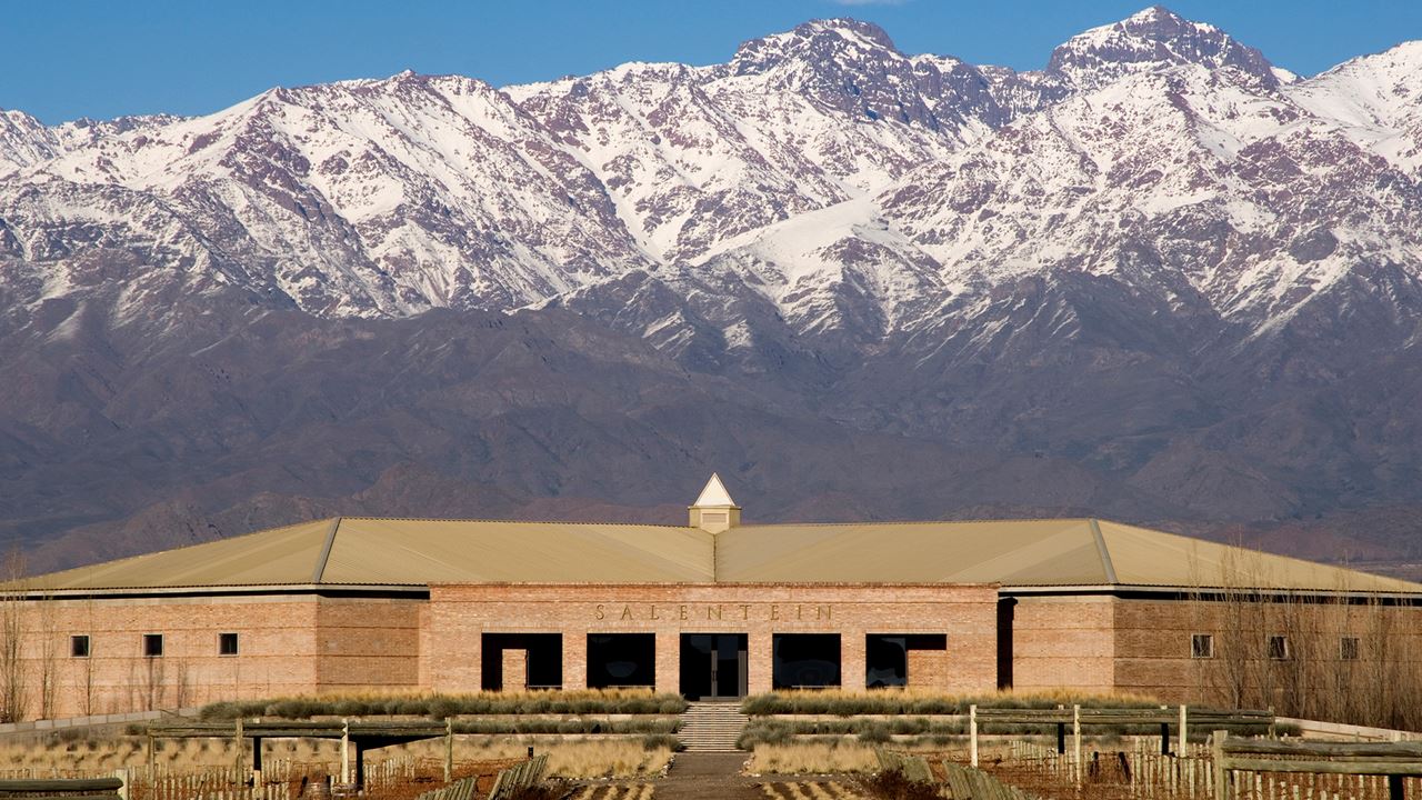 Wine Tasting At Salentein Winery (0)