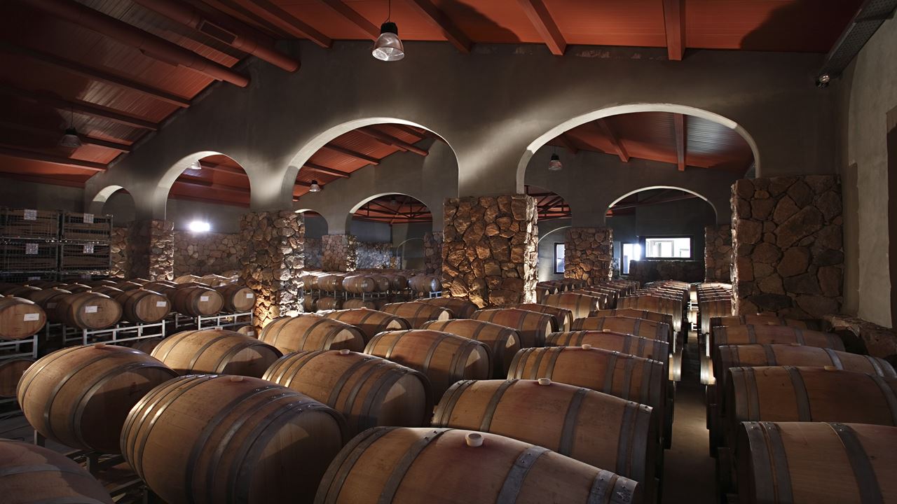Wine Tasting And Lunch In Luxurious (6)