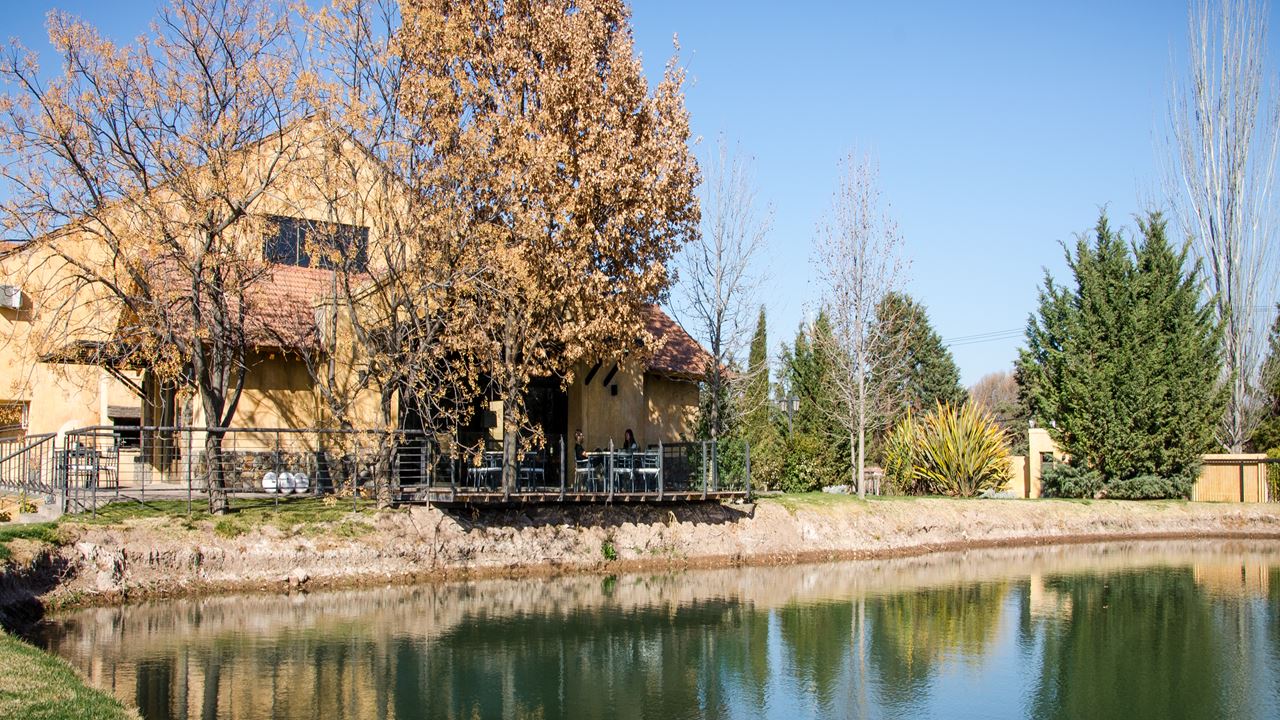 Wine Tasting And Lunch In Luxurious (5)