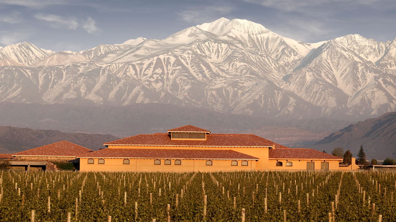 Wine Tasting And Lunch In Luxurious (2)