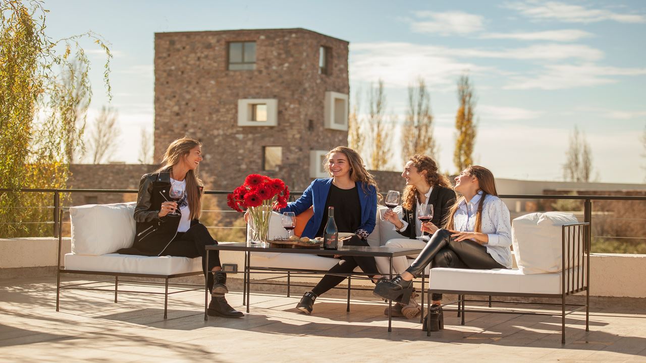 Wine Tasting And Lunch In Luxurious (7)