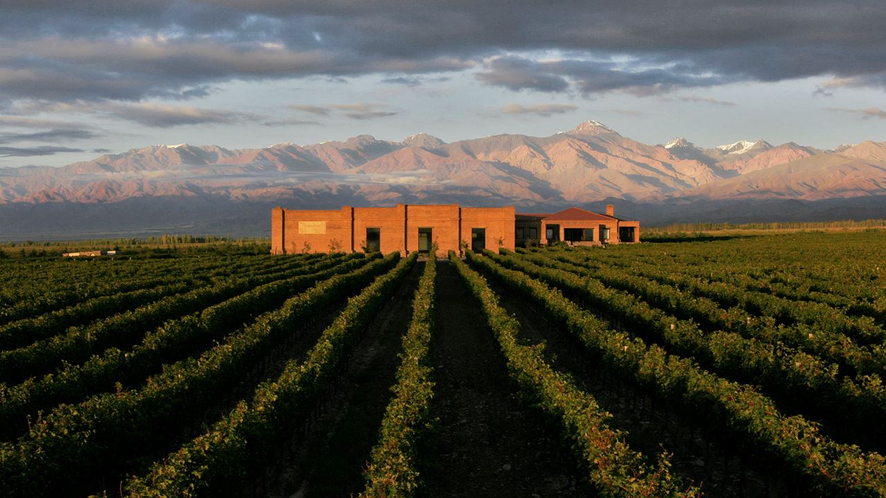 Wine Tasting And Lunch In Uco Valley (3)