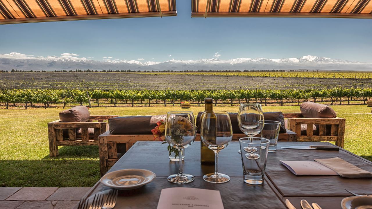 Wine Tasting And Lunch In Uco Valley (4)
