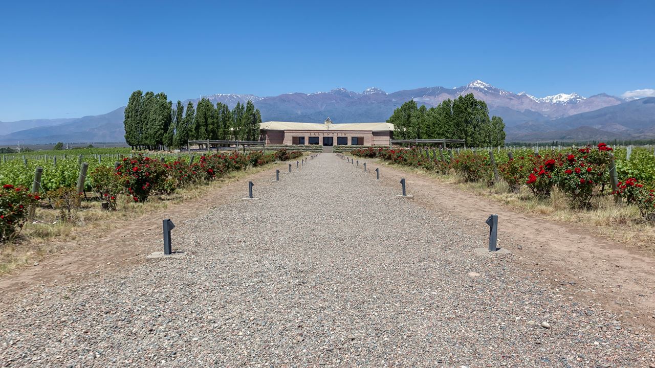 Wine Tasting And Lunch In Uco Valley (6)