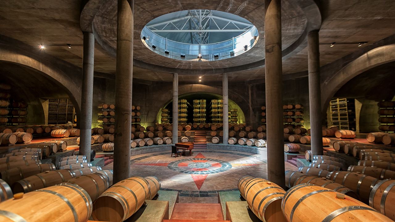 Wine Tasting And Lunch In Uco Valley (0)