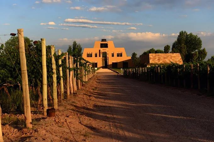 Wine Tasting Experience At "catena Zapata" (4)