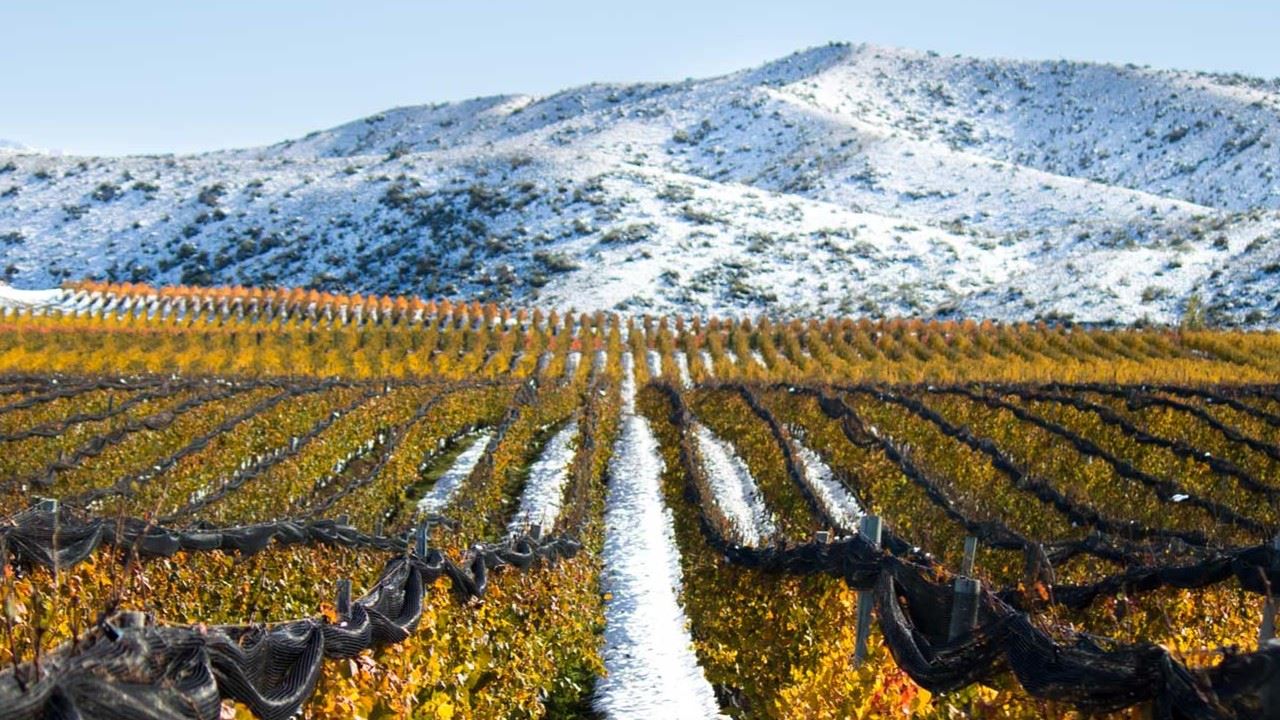 Wine Tasting Experience At "catena Zapata" (5)