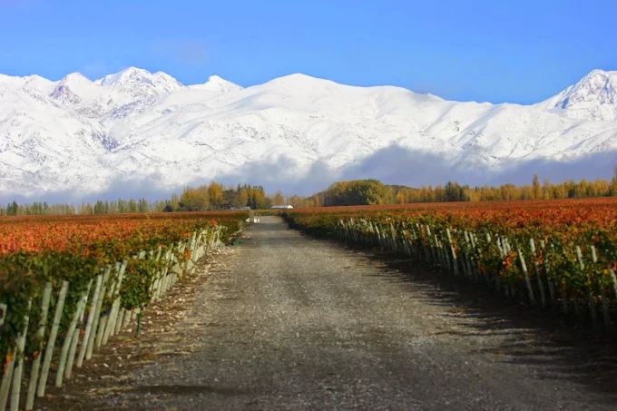 Wine Tasting Experience At "catena Zapata" (2)