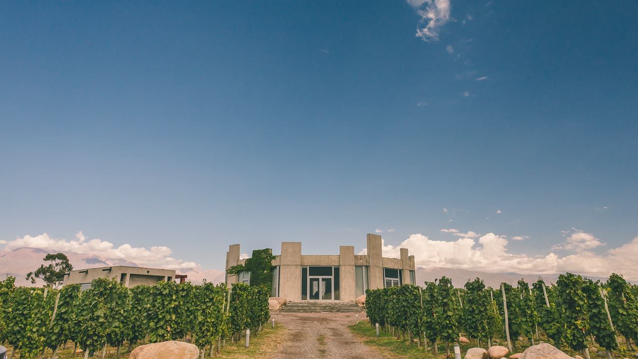 Tasting At Bodega Superuco (1)