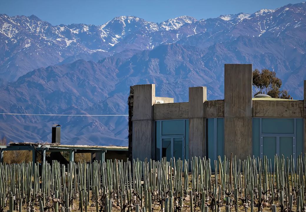 Tasting At Bodega Superuco (7)