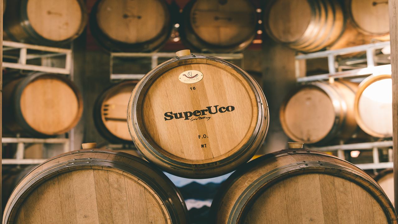 Tasting At Bodega Superuco (5)