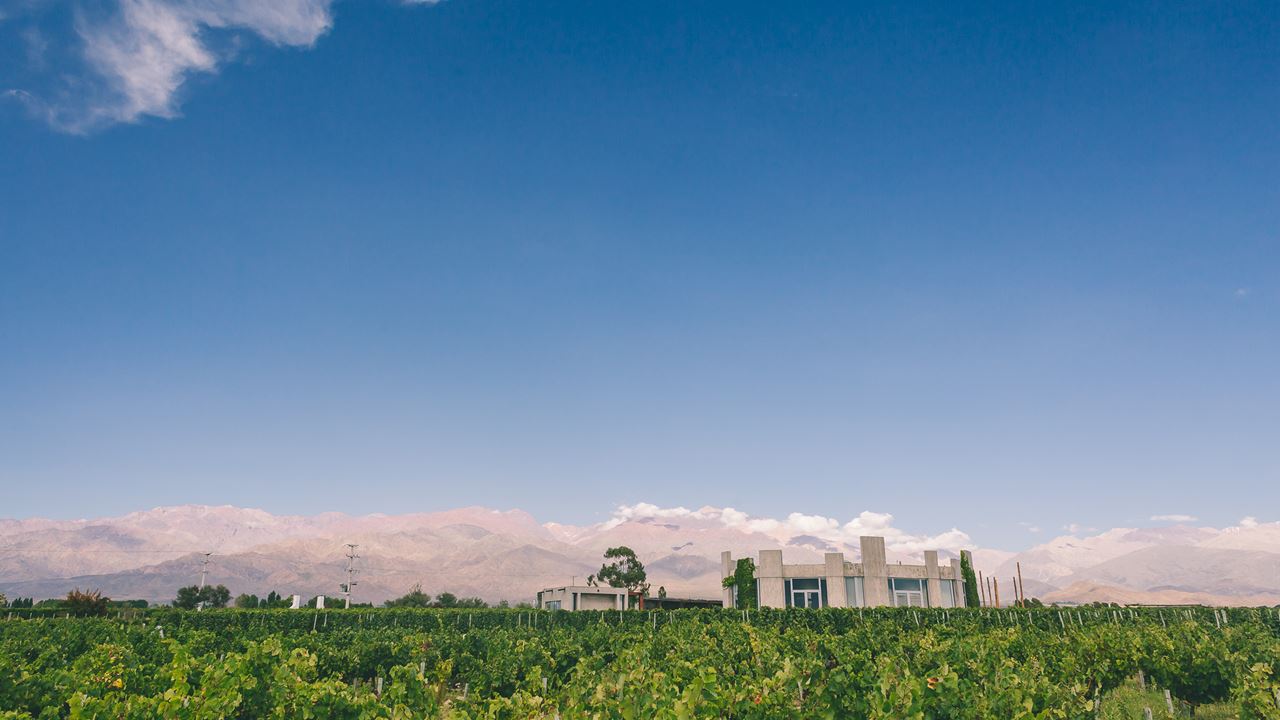 Tasting At Bodega Superuco (2)