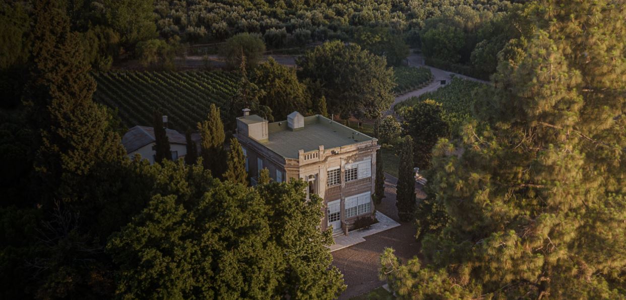 Tasting And Lunch At Luigi Bosca Winery (3)