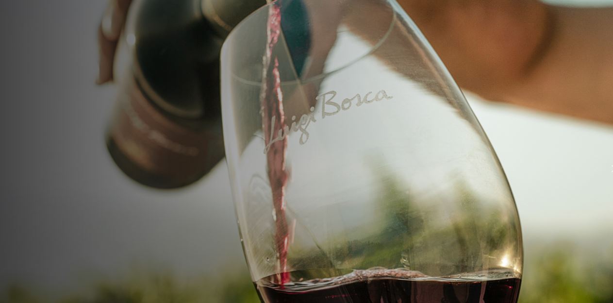 Tasting And Lunch At Luigi Bosca Winery (5)