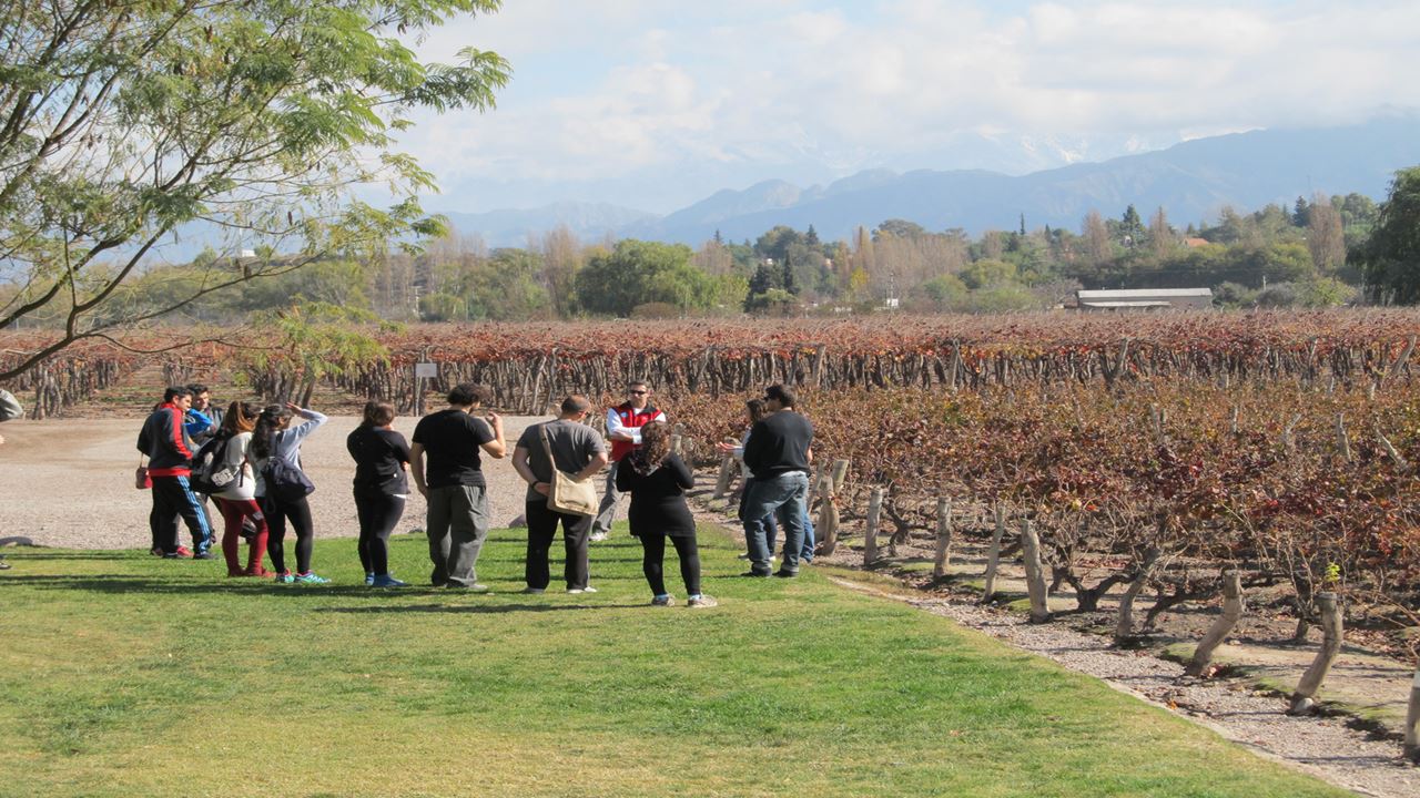 Luján De Cuyo Experience In Reduced Groups (1)