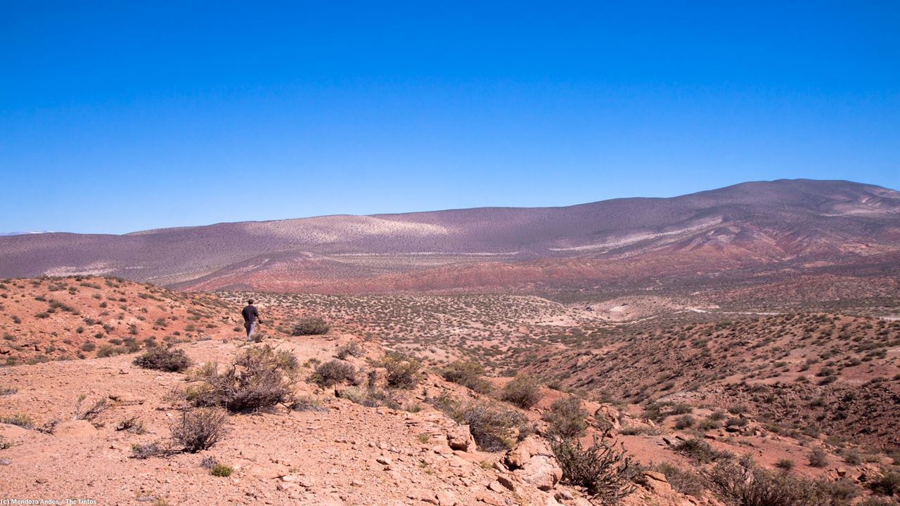 Photographic Safari To The Andes (1)