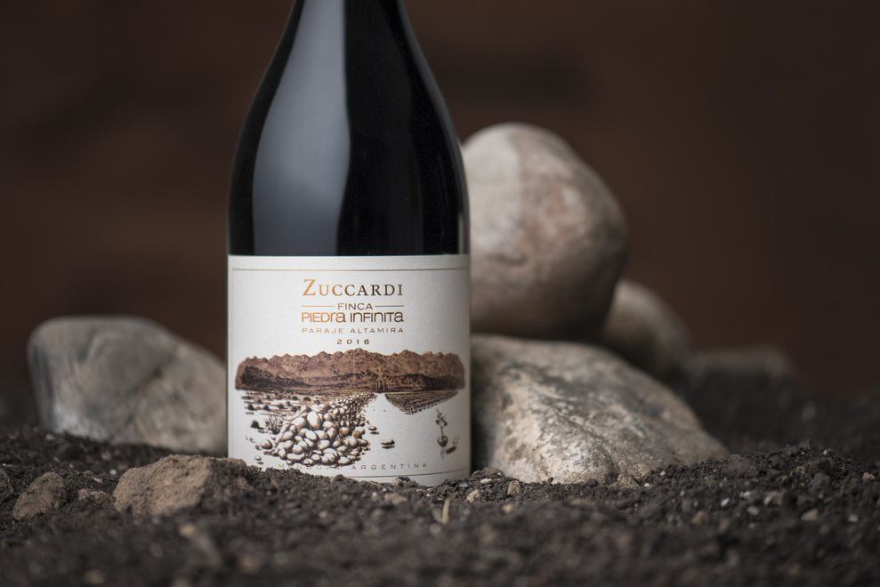 Weinprobe-tour Im Weingut Zuccardi foto 7