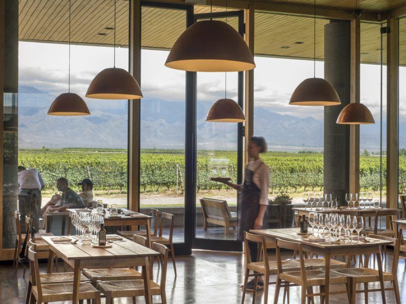 Weinprobe-tour Im Weingut Zuccardi foto 10