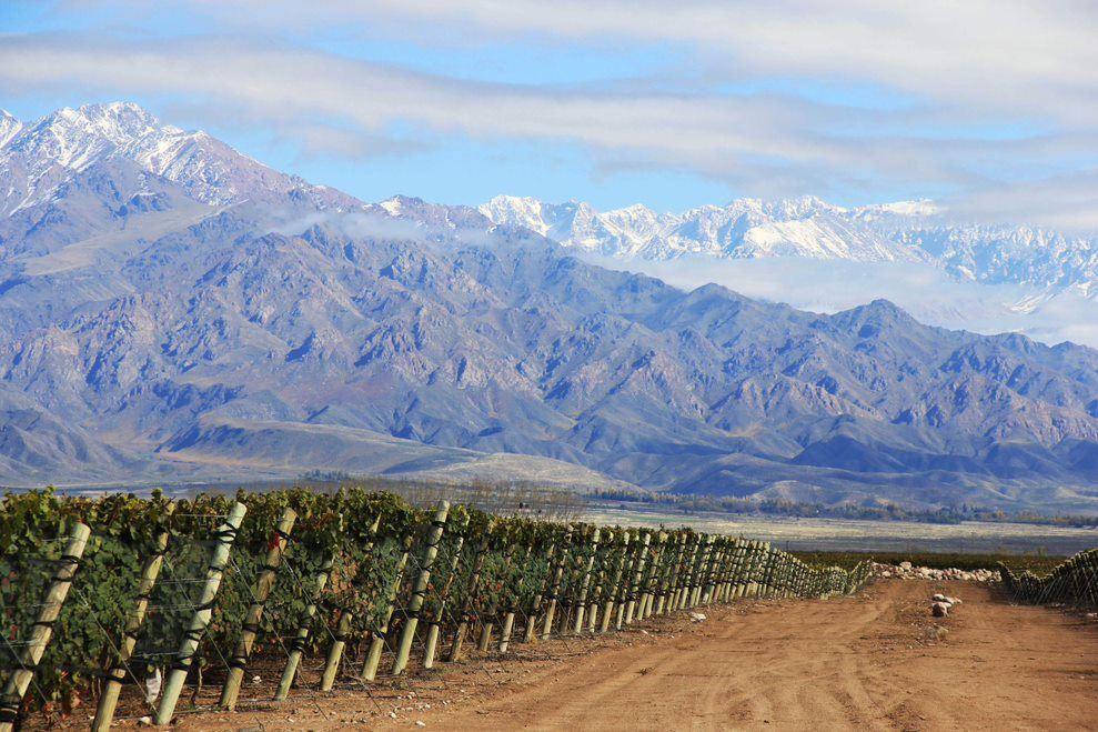 Weinprobe-tour Im Weingut Zuccardi foto 4
