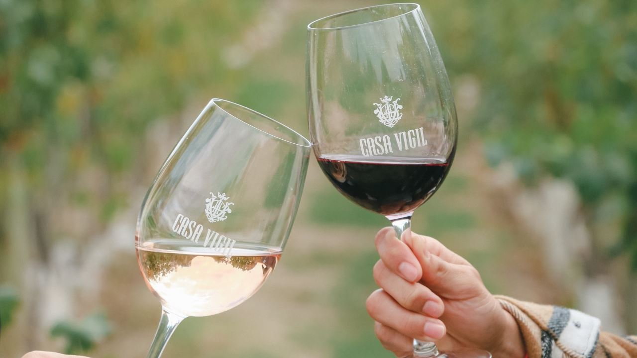 Visite Et Dégustation De Vins Au Domaine Viticole Casa Vigil foto 4