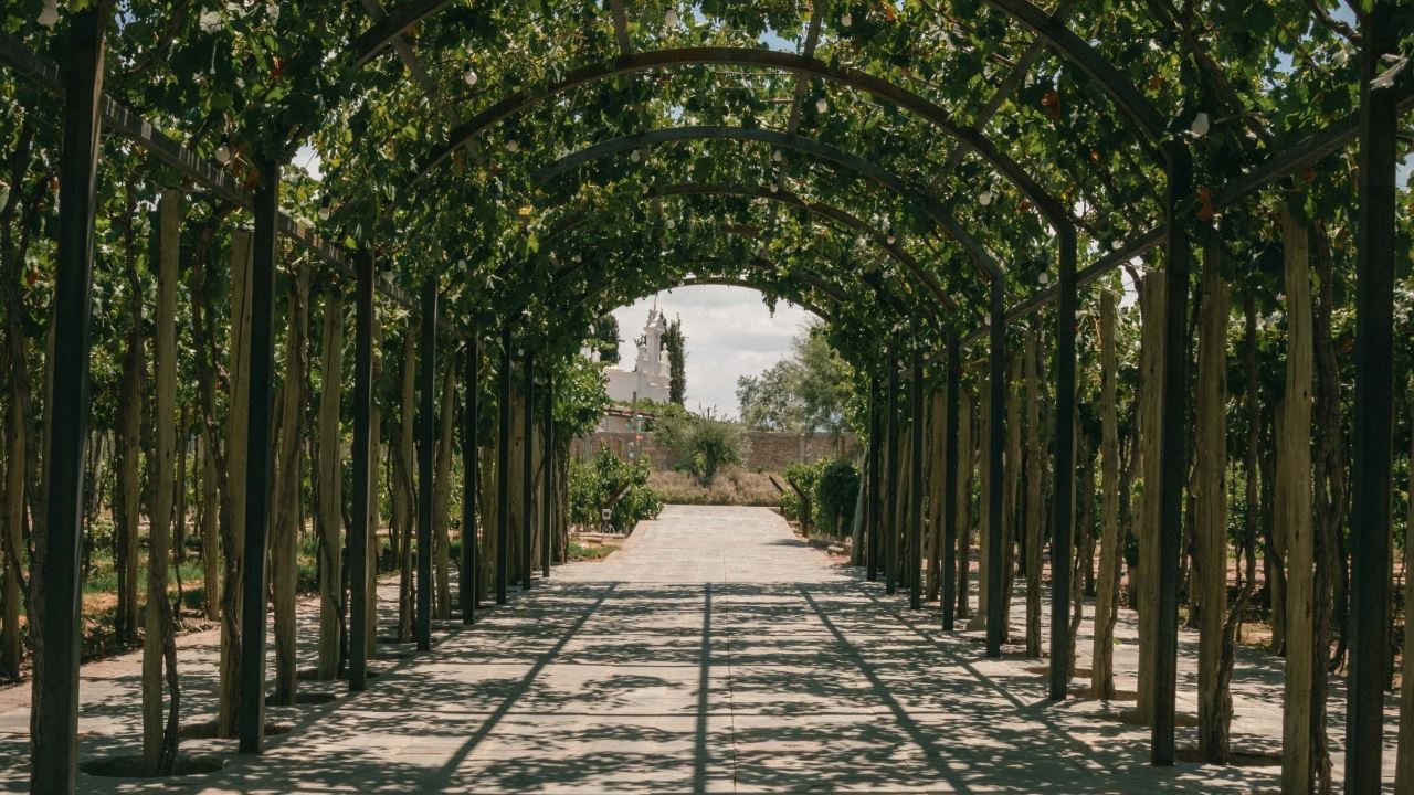 Visite Et Dégustation De Vins Au Domaine Viticole Casa Vigil foto 5