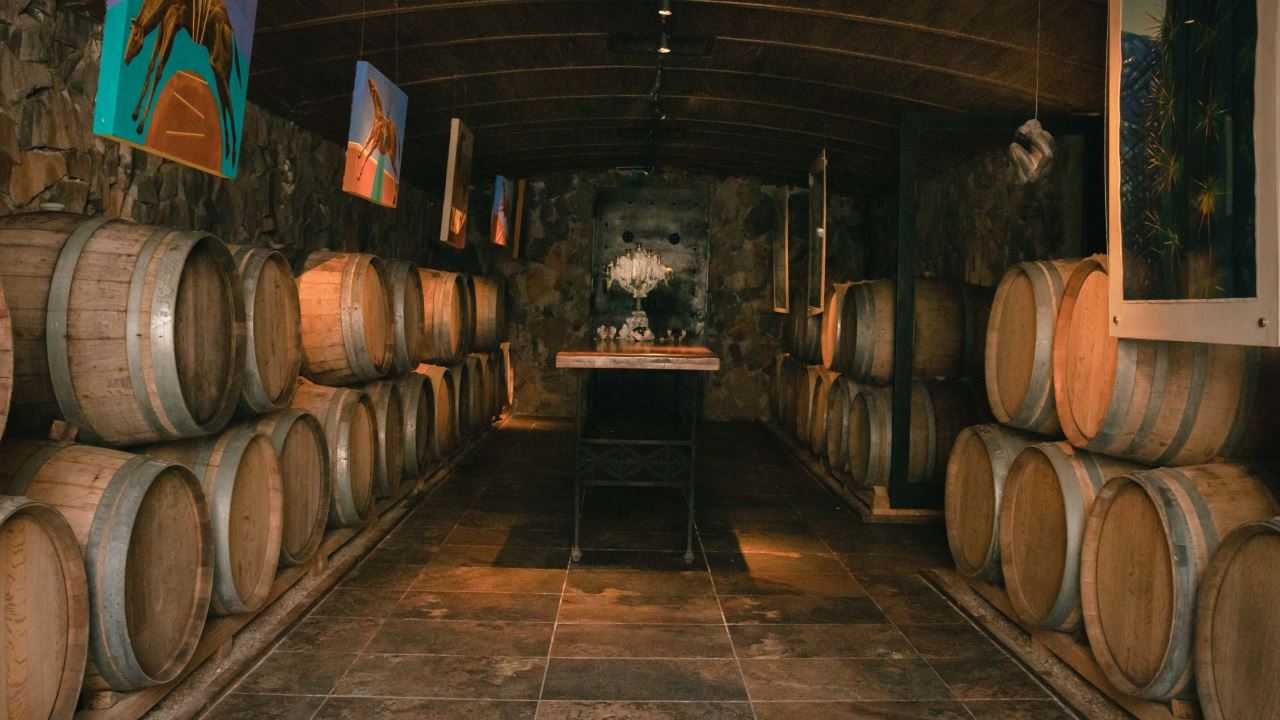 Visite Et Dégustation De Vins Au Domaine Viticole Casa Vigil foto 7