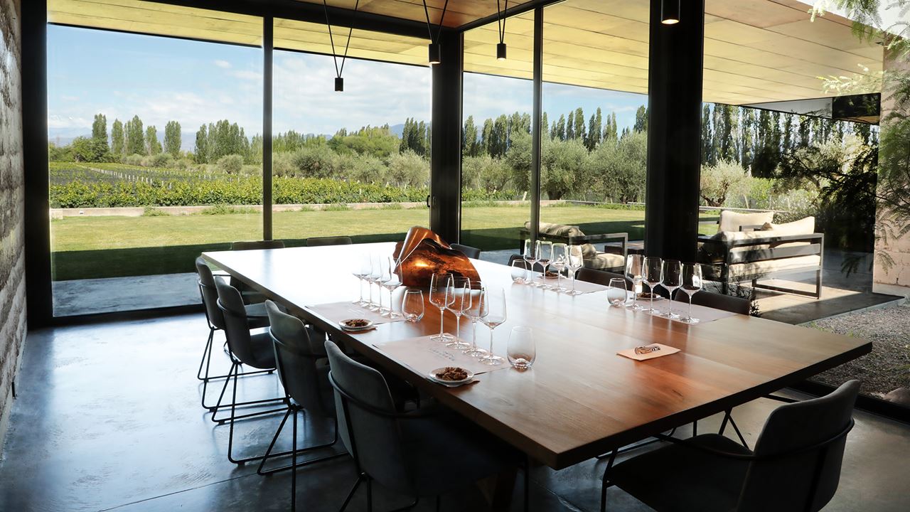 Vignoble Casarena foto 2