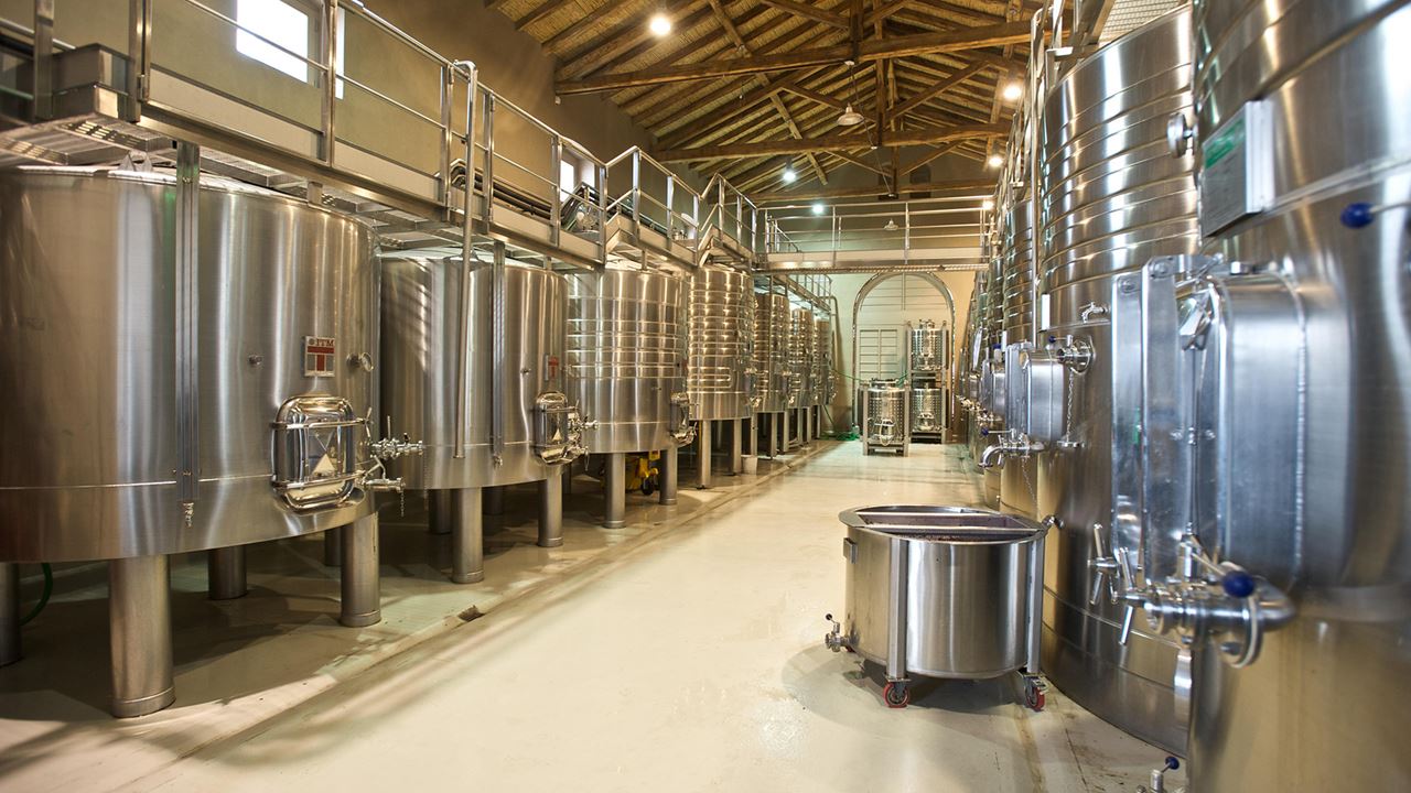 Vignoble Casarena foto 9