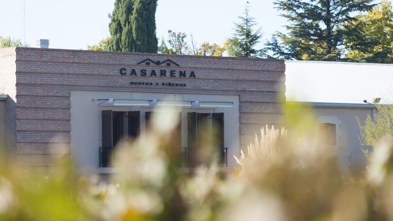 Vignoble Casarena foto 4