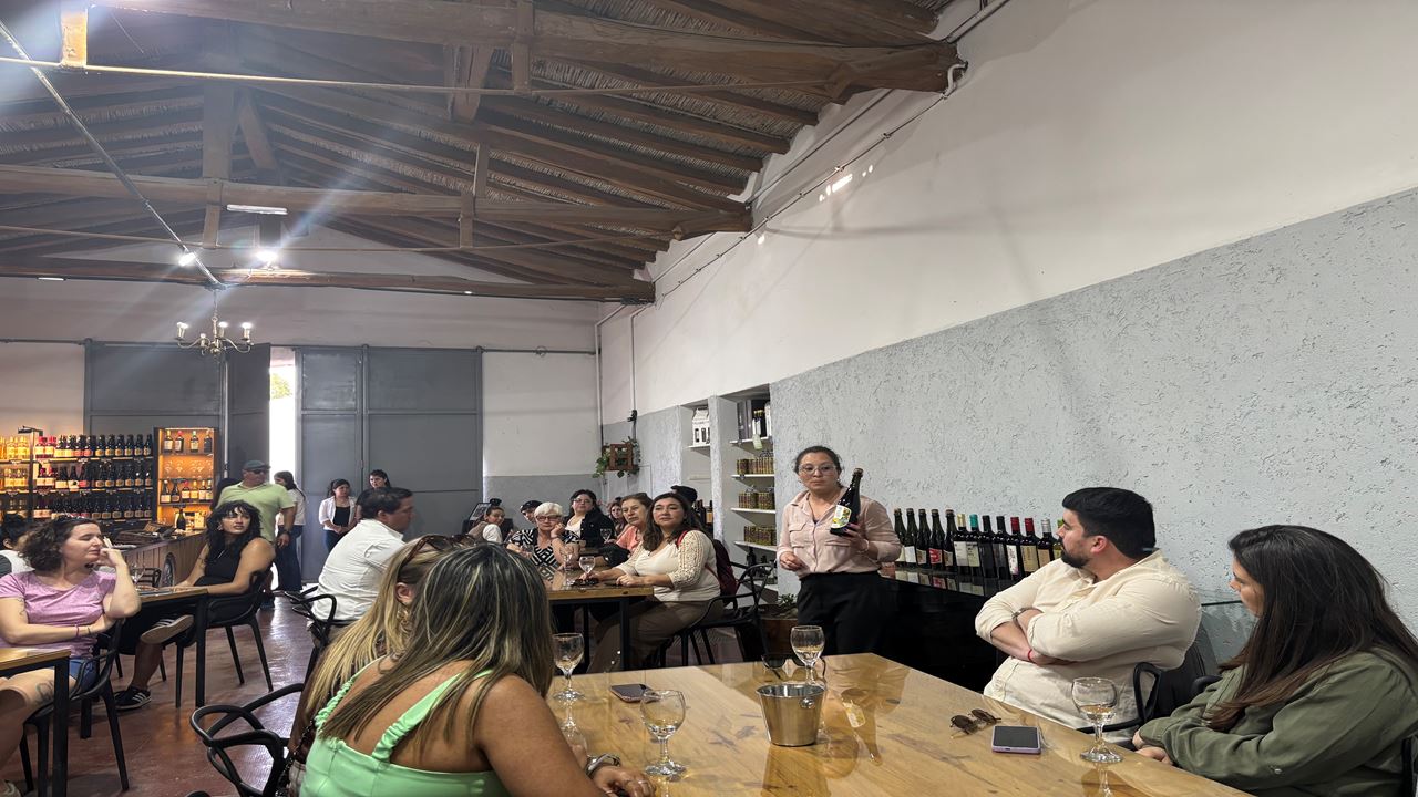 Promo: Wineries, High Mountains And Airport Transfers foto 1