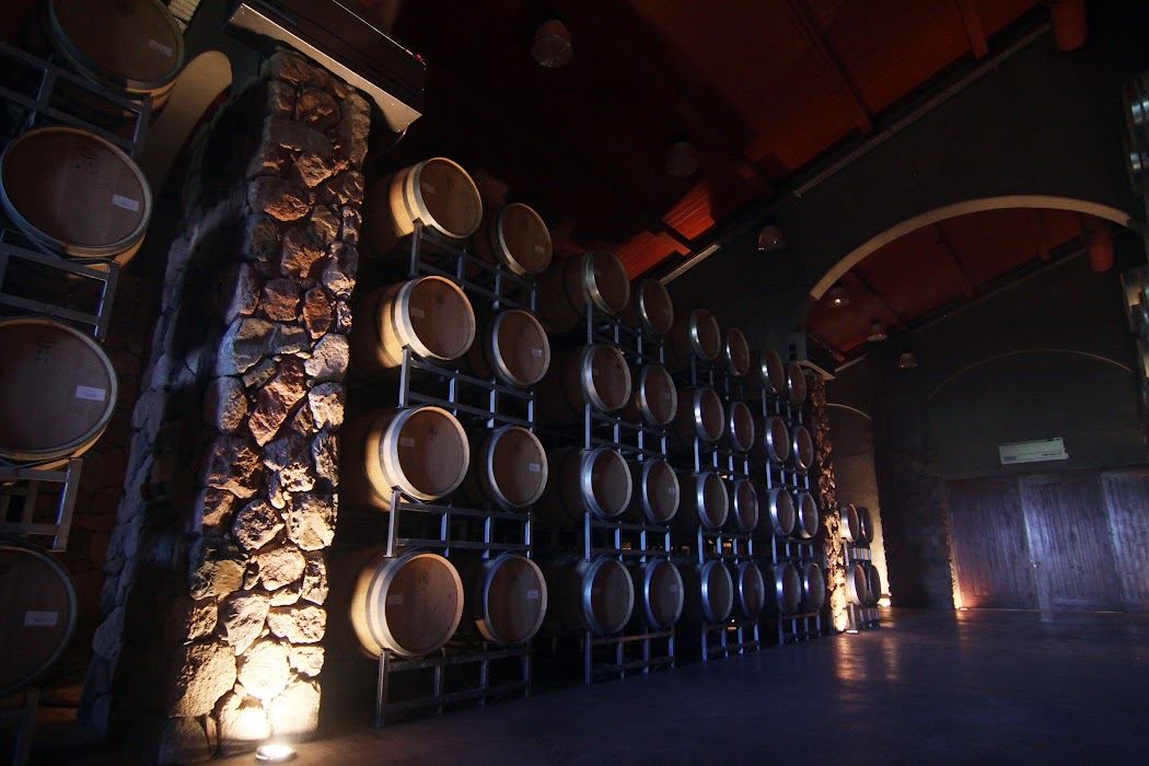 Half Day Wine Tour (Lujan-maipu) (6)