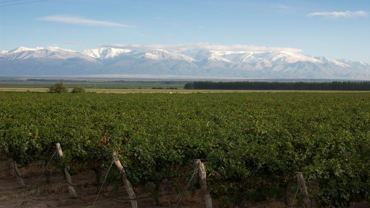 Half Day Wine Tour (Lujan-maipu) (3)
