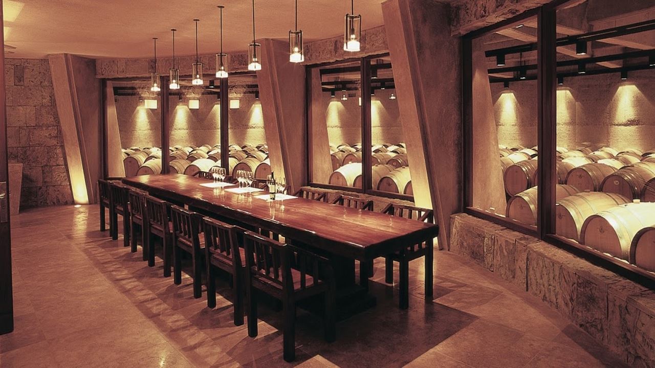 Half Day Wine Tour (Lujan-maipu) (5)