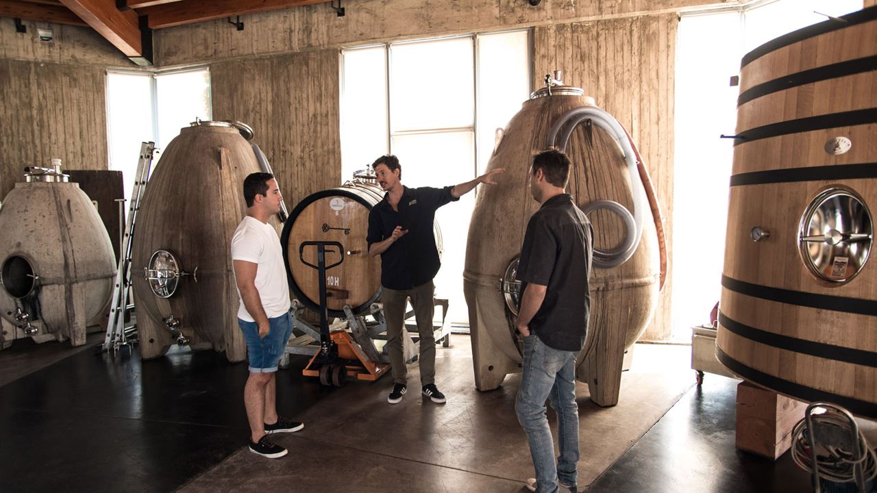 Organic And Biodynamic Wine Tour (3)