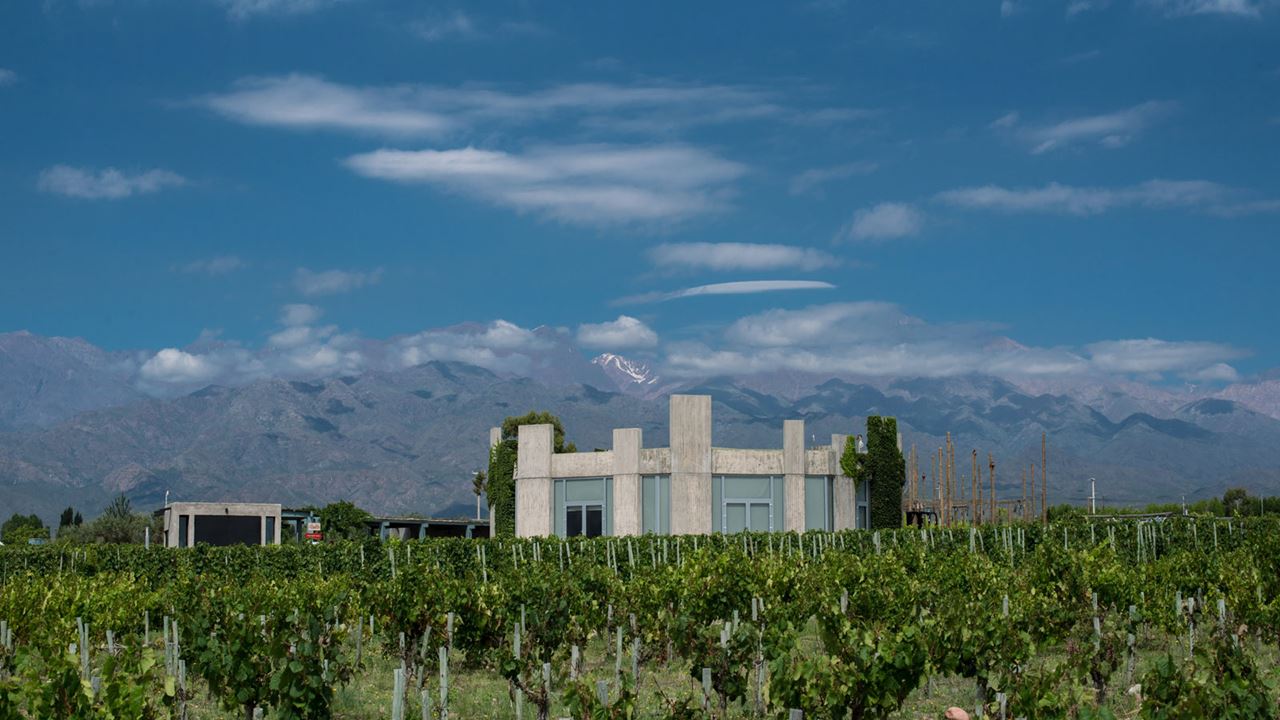 Private Tour With Winemakers (1)