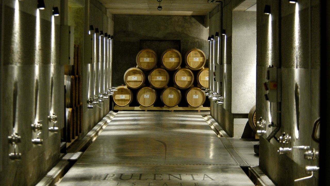 Private Tour With Winemakers (3)