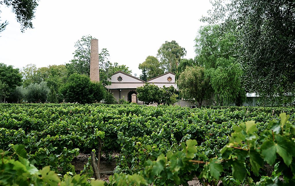 Private Wine Tour In Luján De Cuyo (0)