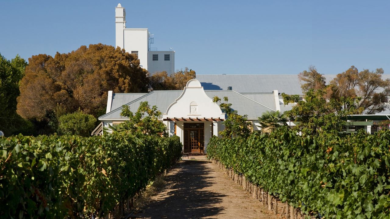 Private Wine Tour In Luján De Cuyo (5)