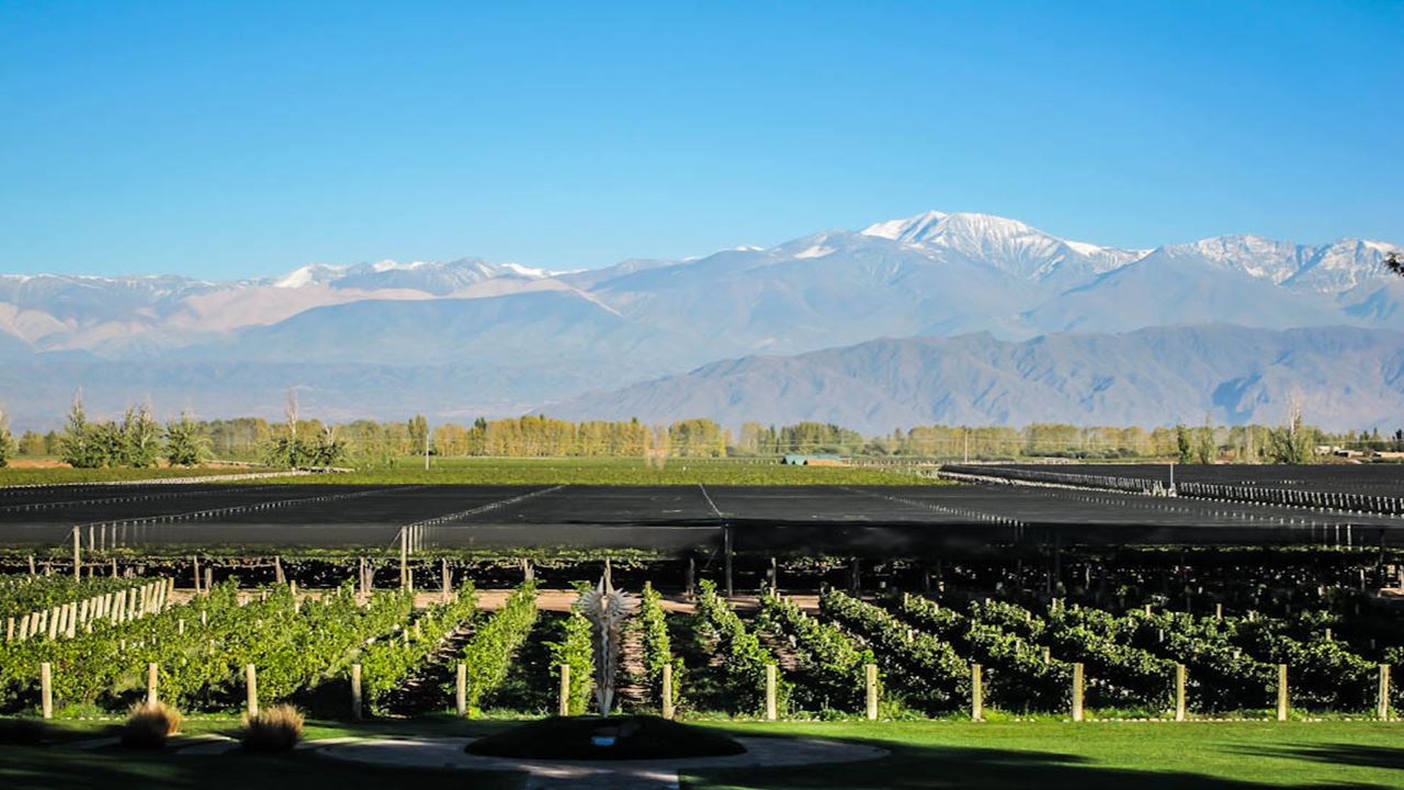 Private Wine Tour In Luján De Cuyo (4)