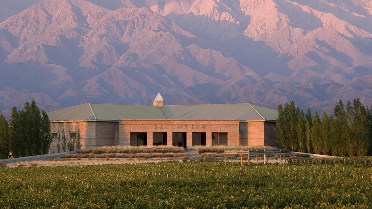 Private Wine Tour: Uco Valley Region (3)