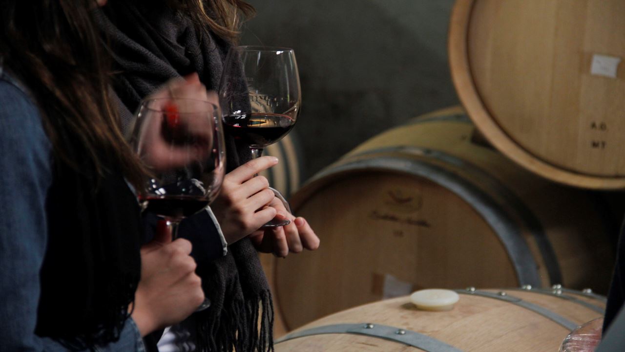 Wine Tour And Tasting At La Azul Boutique Winery (1)