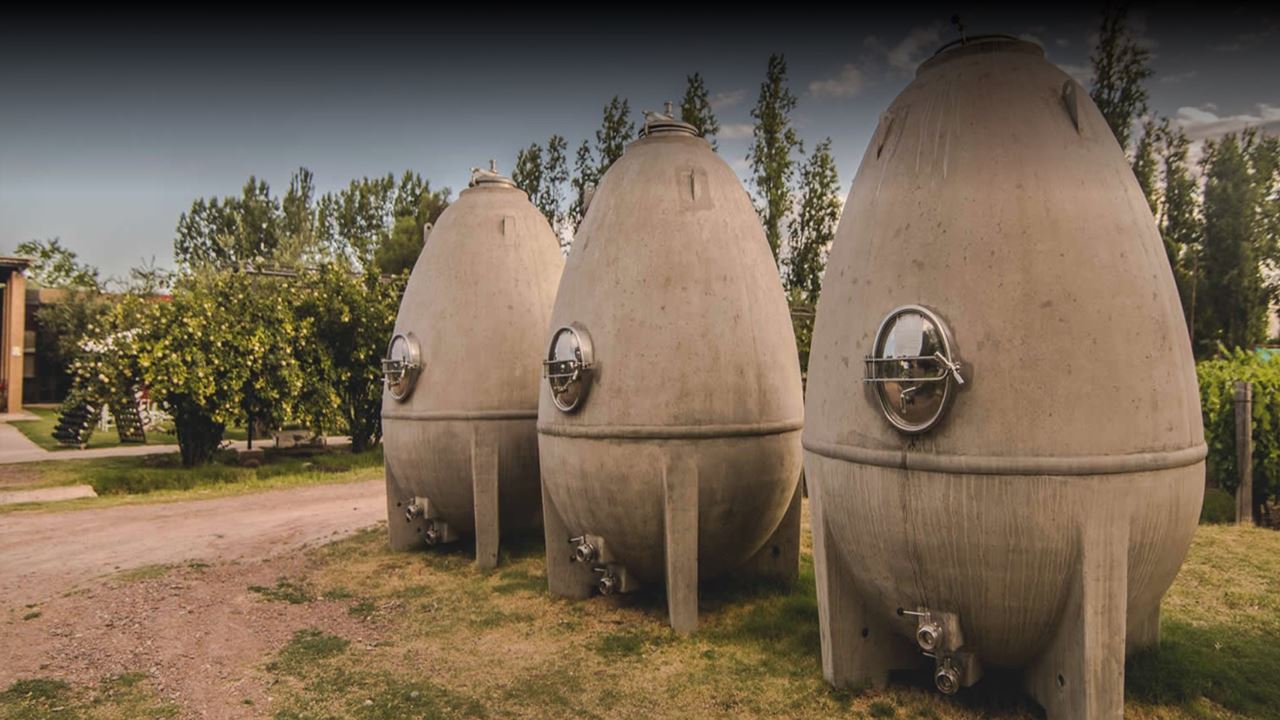 Casa Vigil Wine Tasting Tour (1)