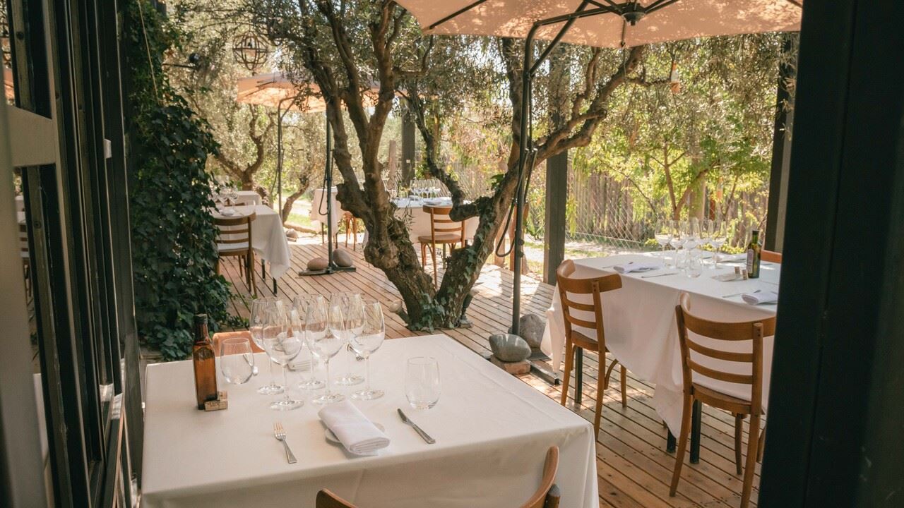 Casa Vigil Wine Tasting Tour (9)