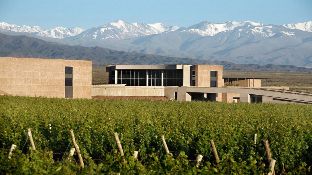 Premium Wine Tasting Tour At Bodega Diamandes (5)